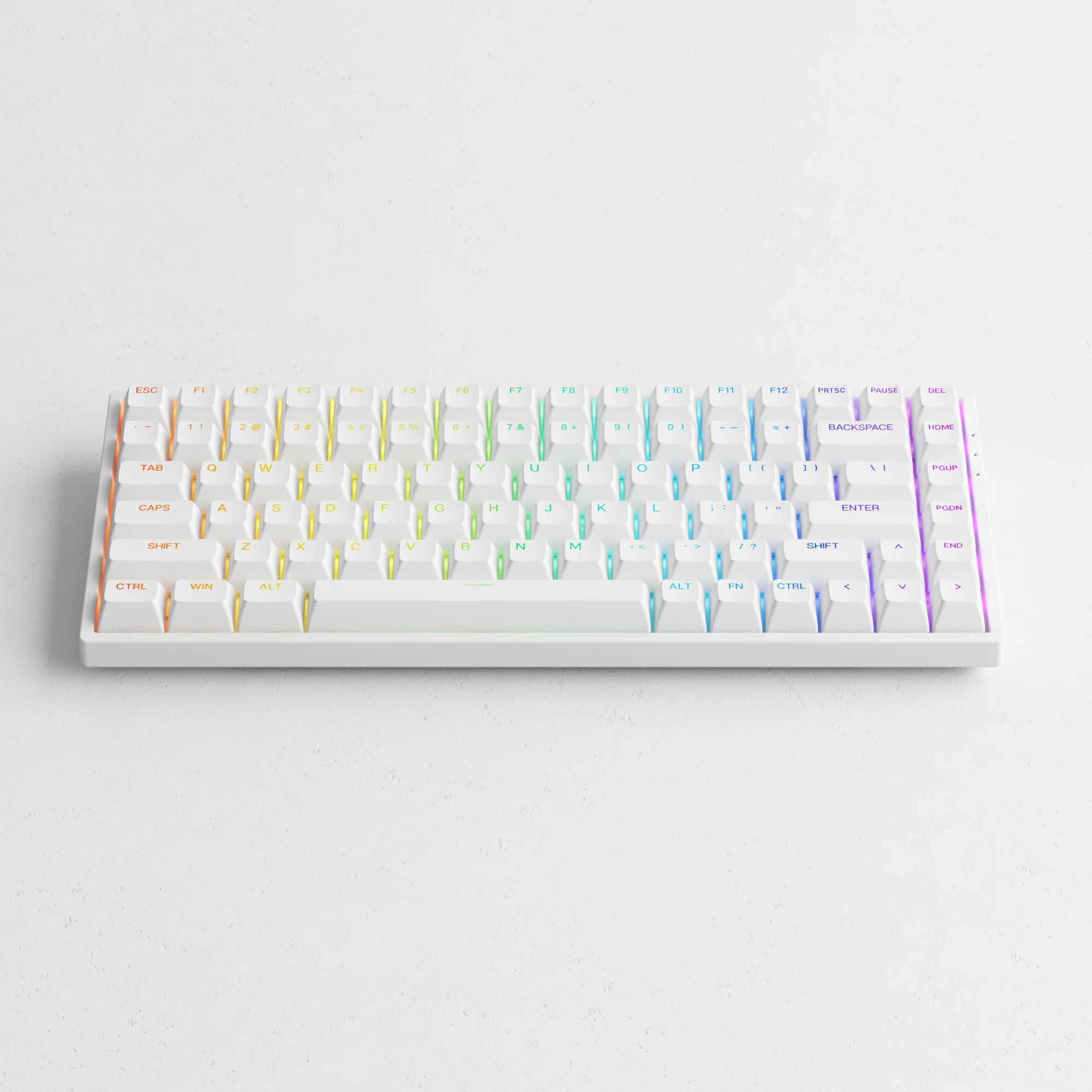 3084S Shine-Through - Image 9