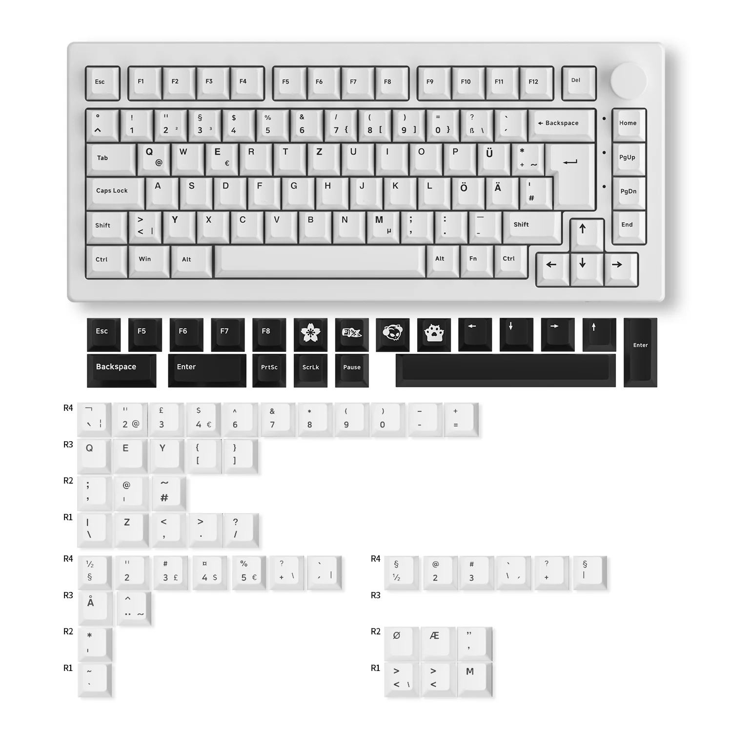 5075B Plus ISO Mechanical Keyboard - Image 15