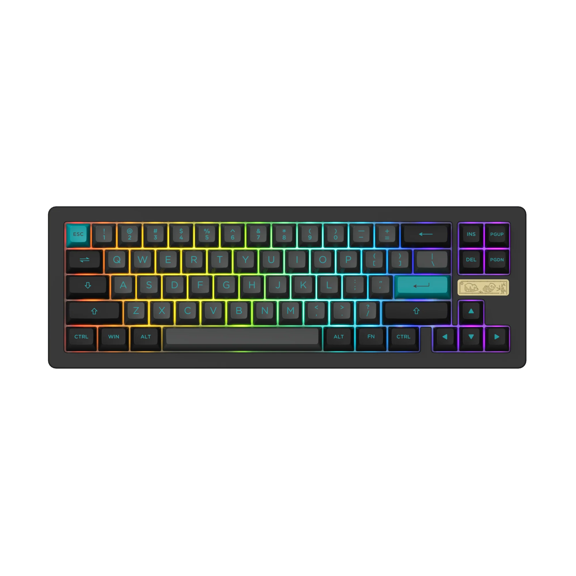 ACR Pro 68 Black & Cyan