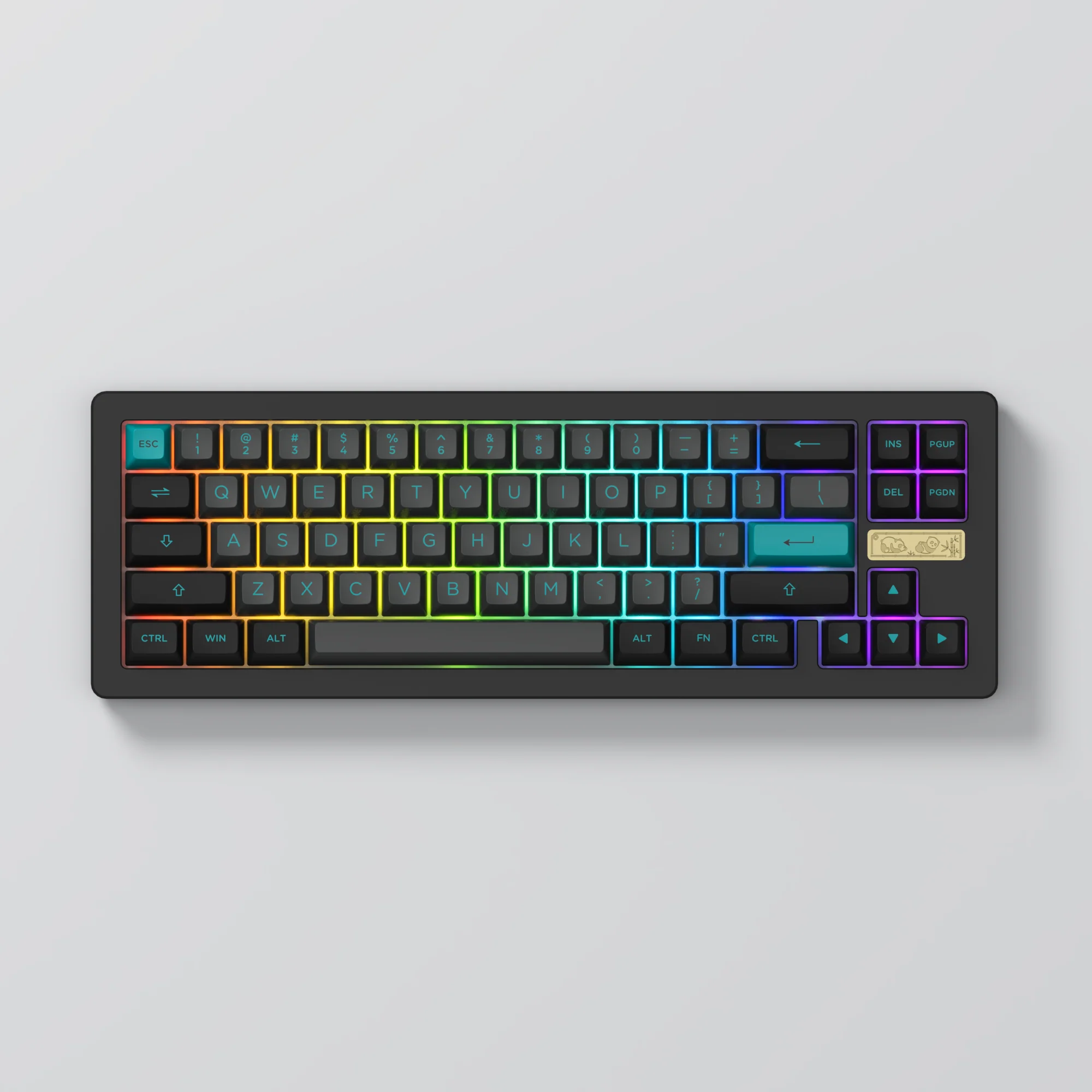 ACR Pro 68 Black & Cyan - Image 5