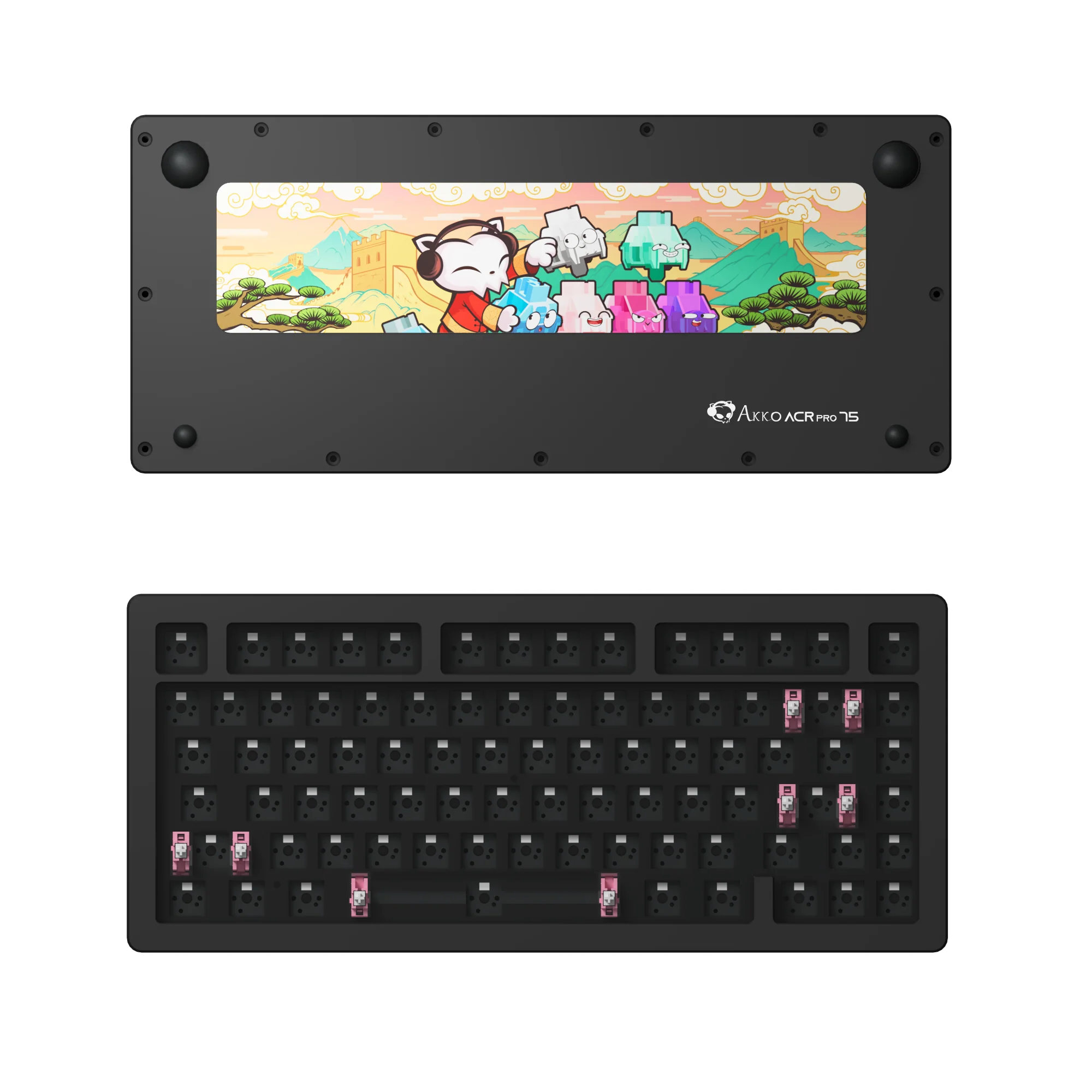 ACR Pro 75 DIY Kit - Image 3