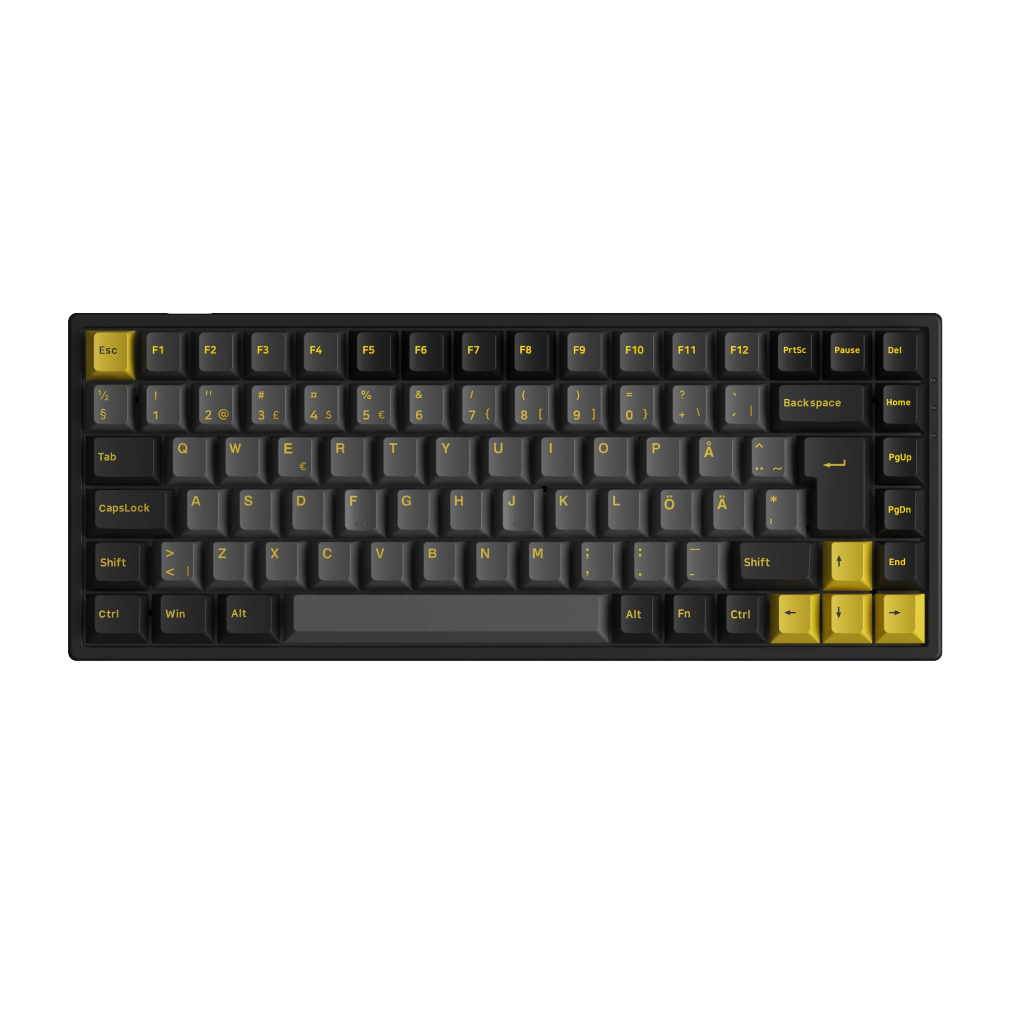 Black & Gold 3084B Plus ISO DE/Nordic - Image 3