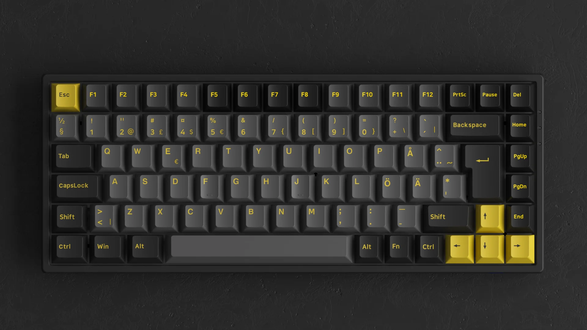 Black & Gold 3084B Plus ISO DE/Nordic - Image 5
