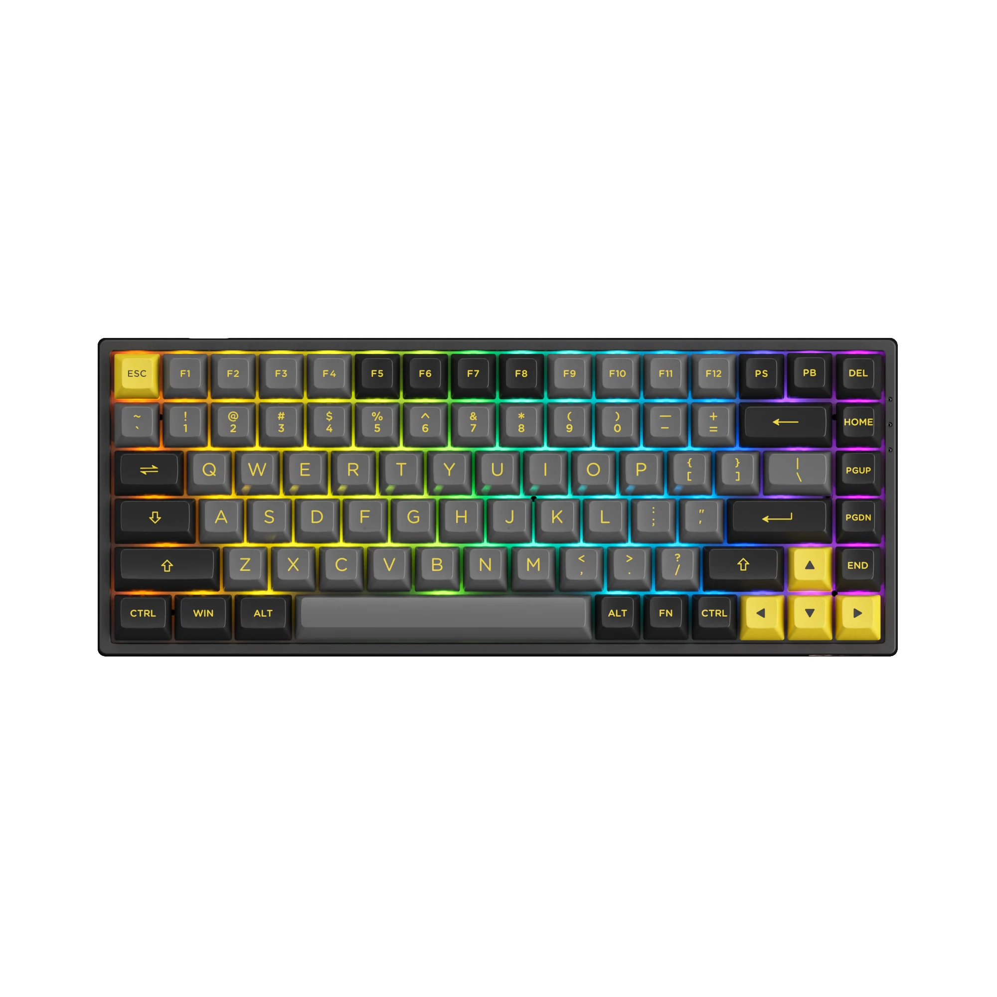 Black & Gold 3084B Plus - Image 8