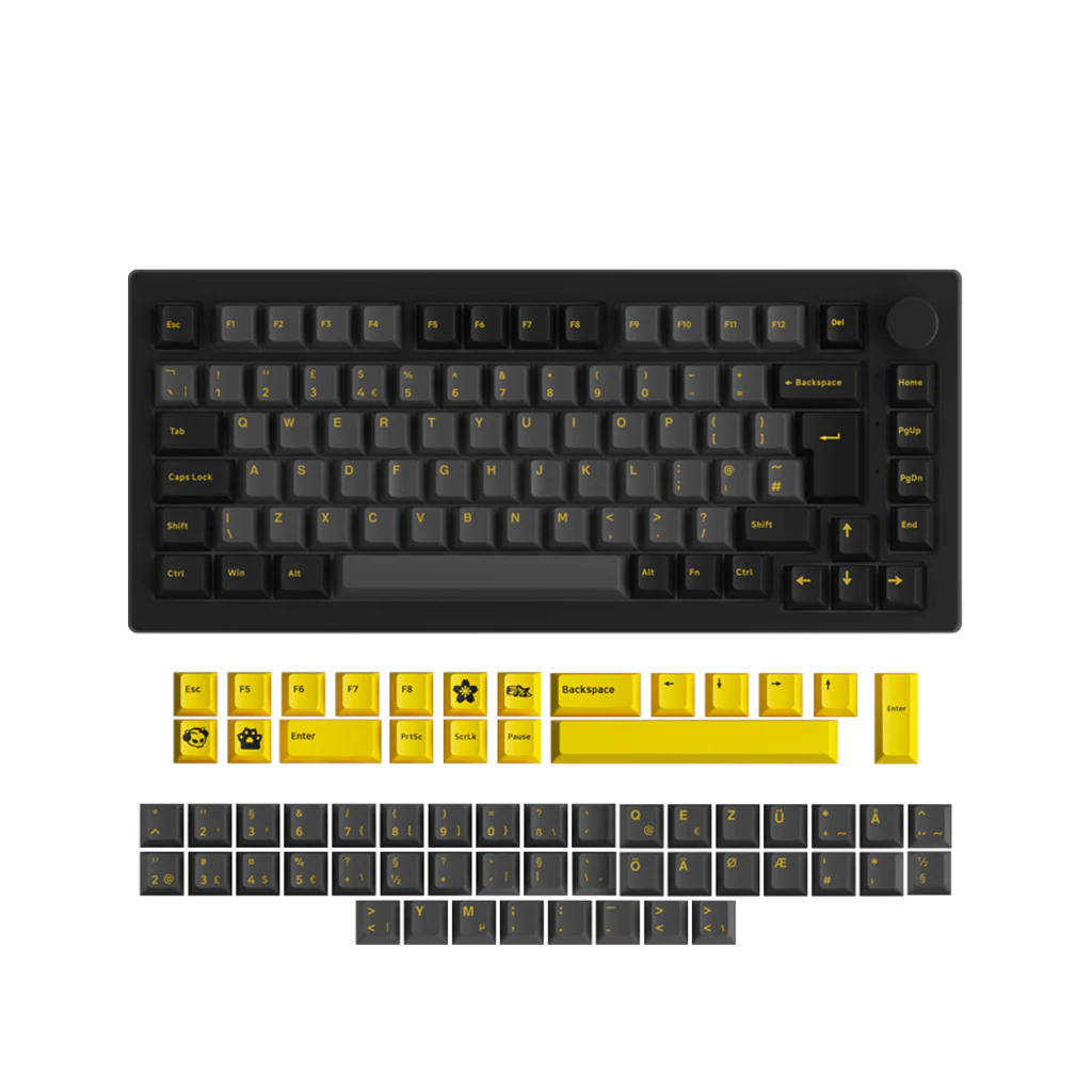 Black & Gold 5075S ISO - Image 12
