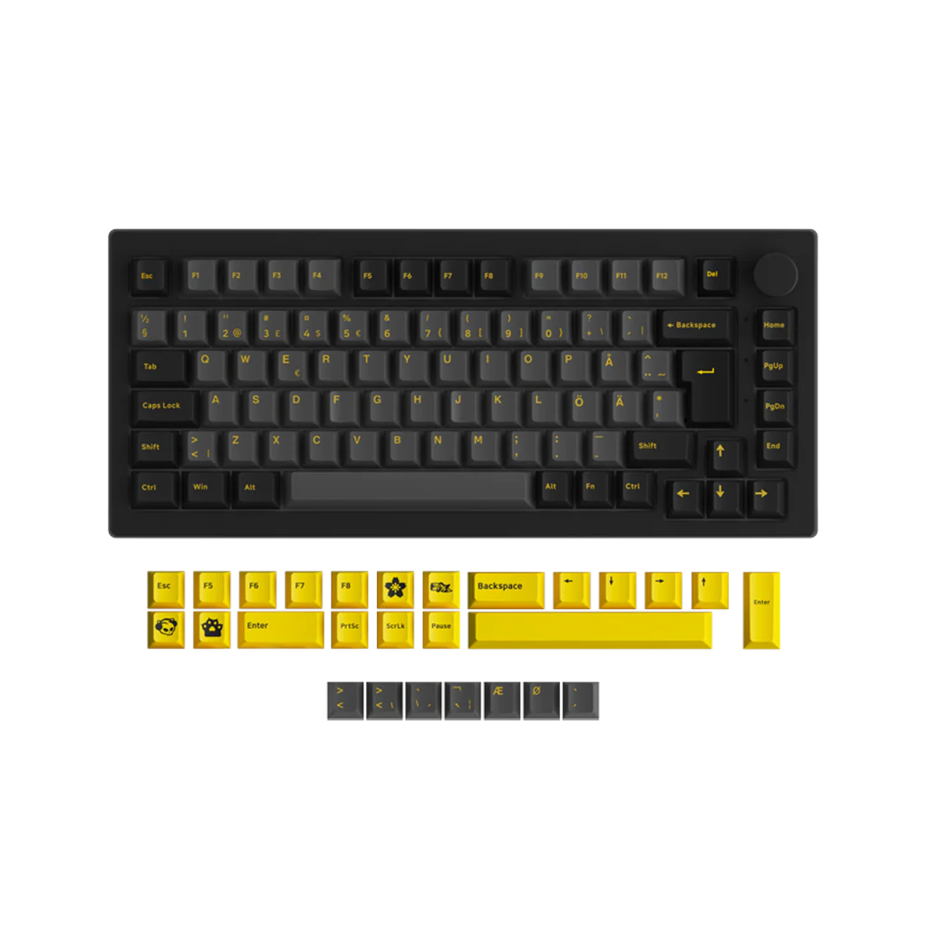 Black & Gold 5075S ISO - Image 13