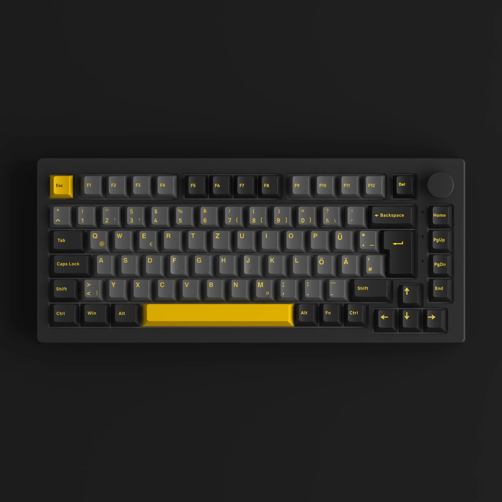 Black & Gold 5075S ISO - Image 6