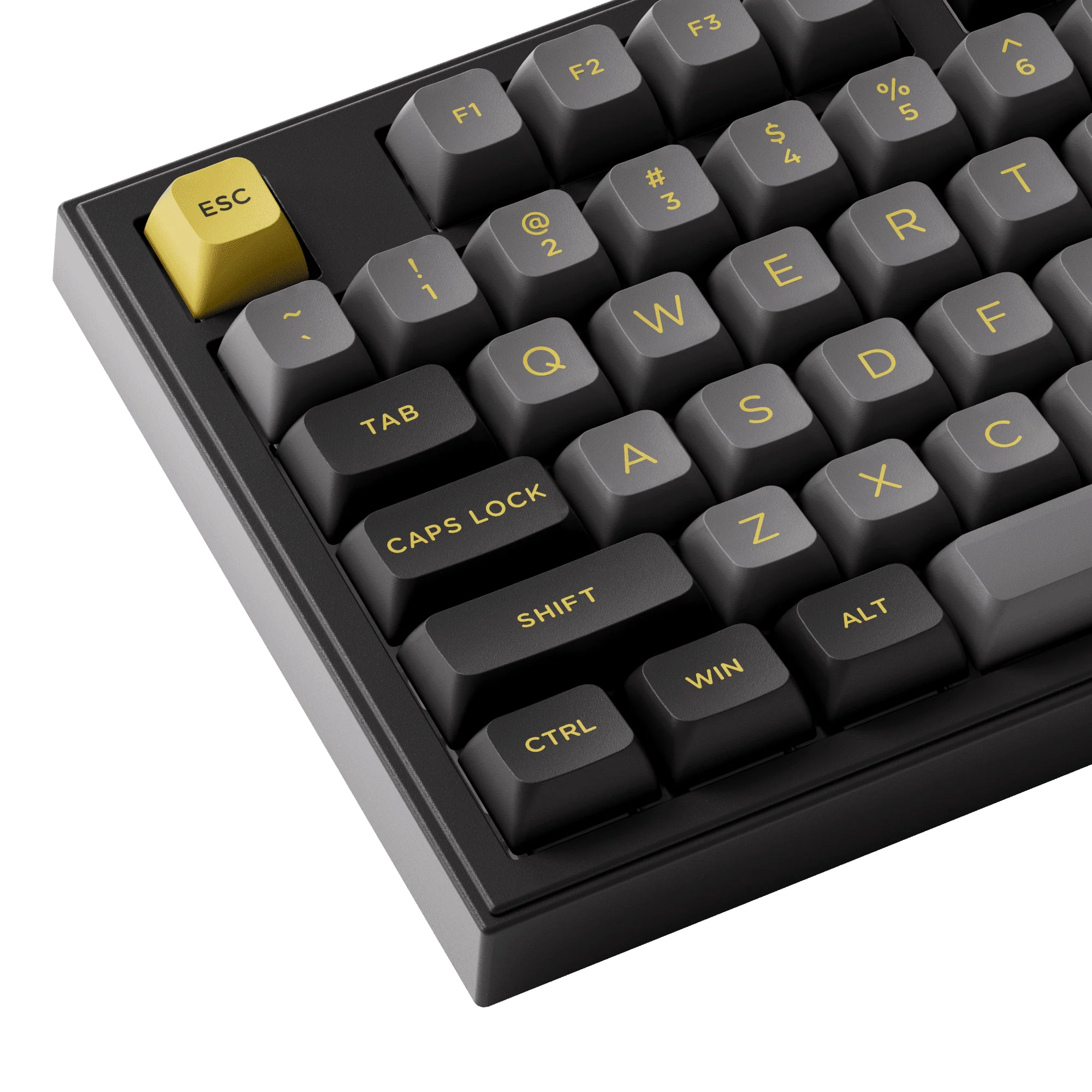 Black & Gold 5098B - Image 16