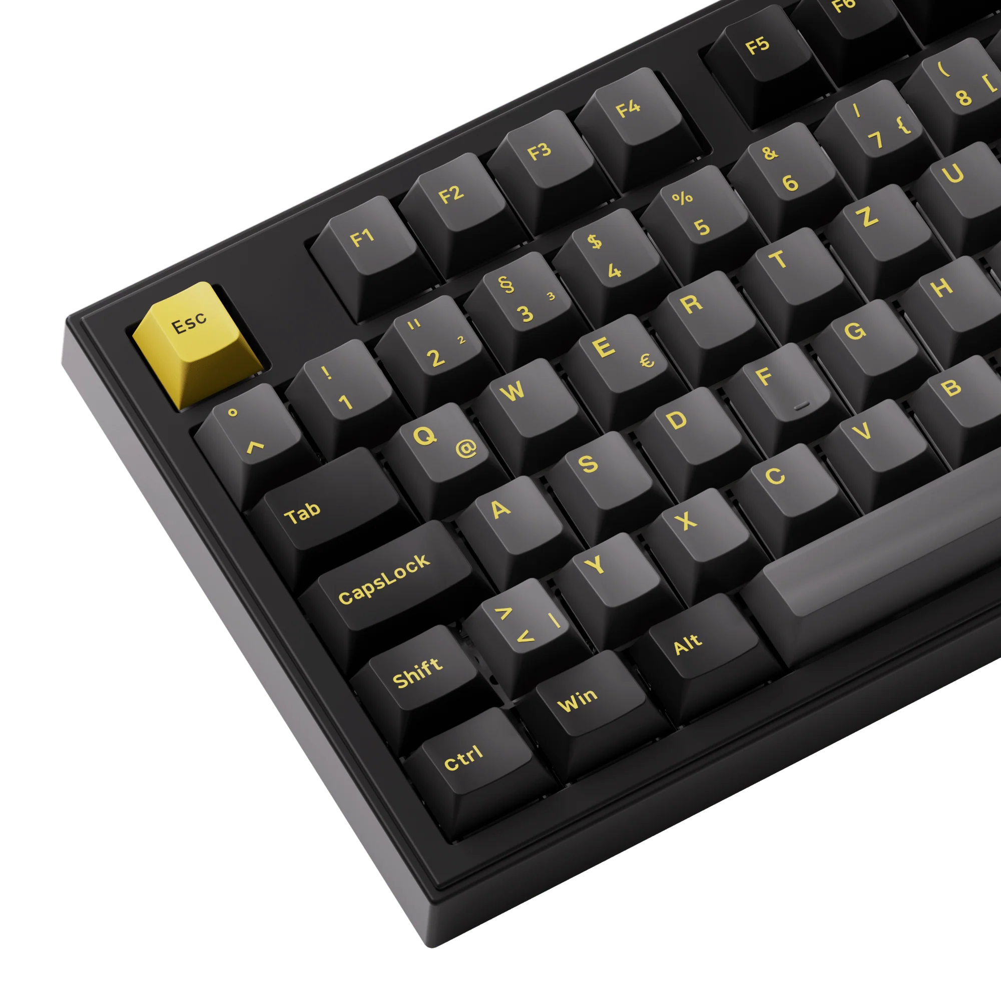Black & Gold 5098B - Image 7