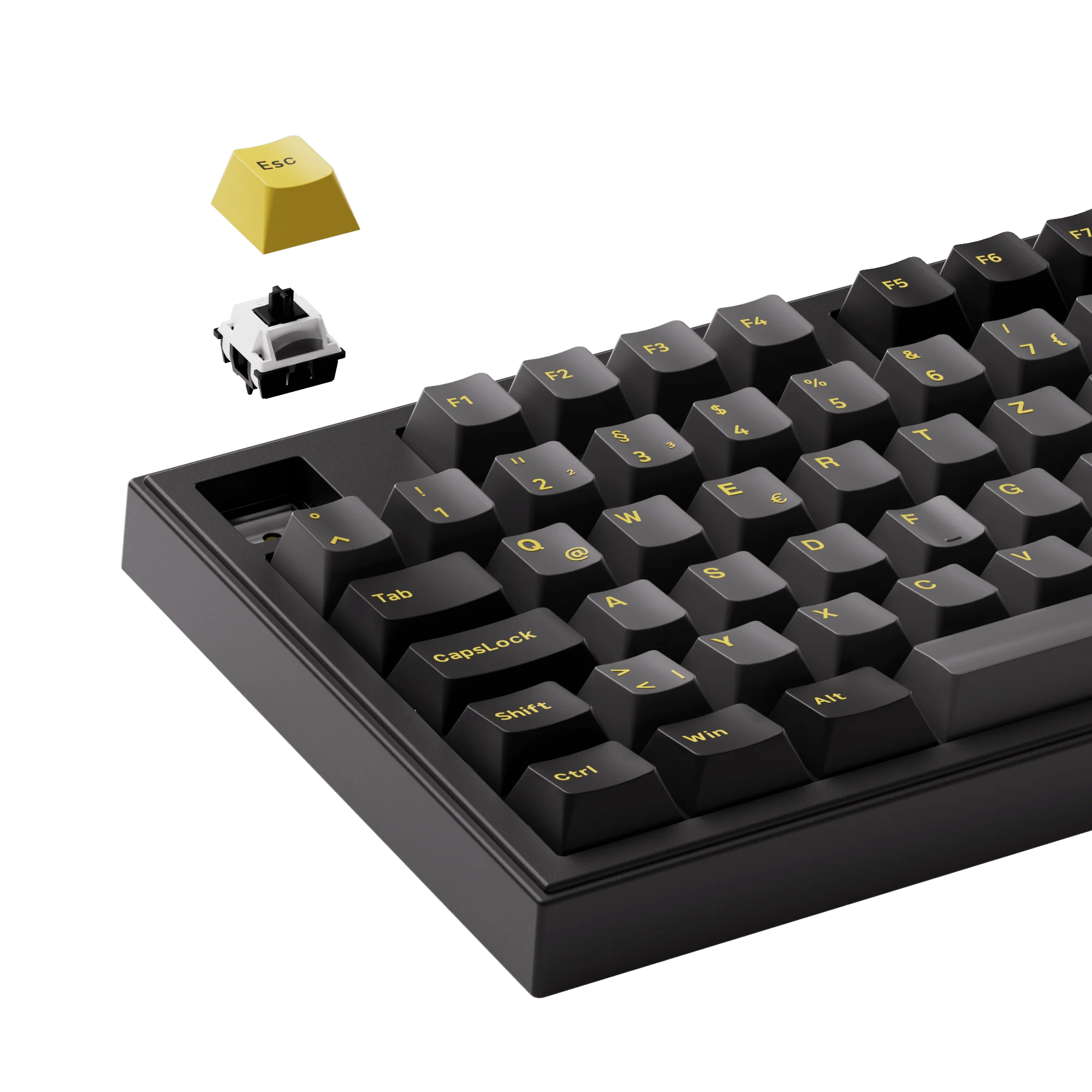 Black & Gold 5098B - Image 8