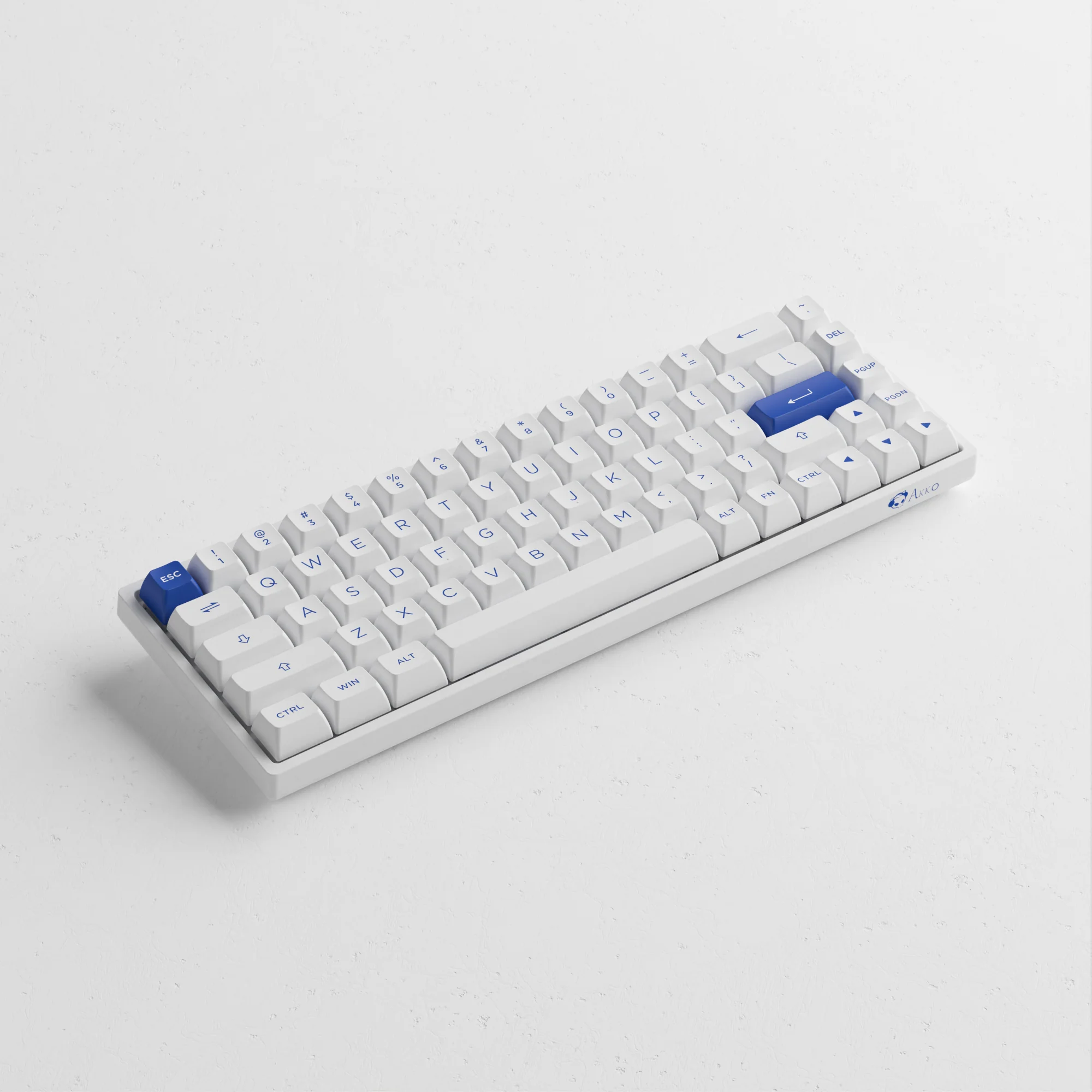 Blue on White 3068B Plus - Image 4