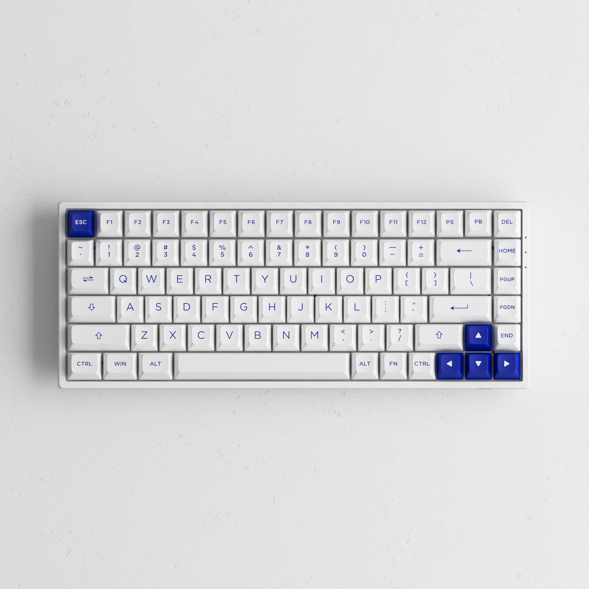 Blue on White 3084B Plus - Image 7