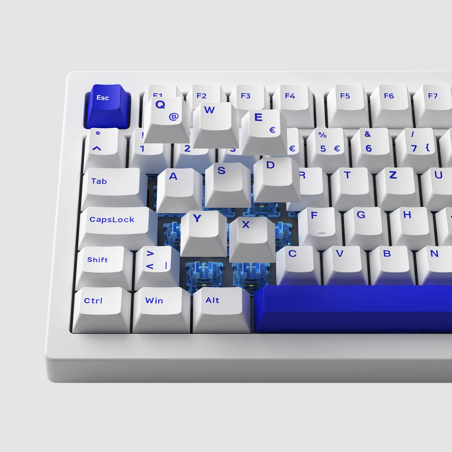 Blue on White 5075B Plus ISO - Image 7