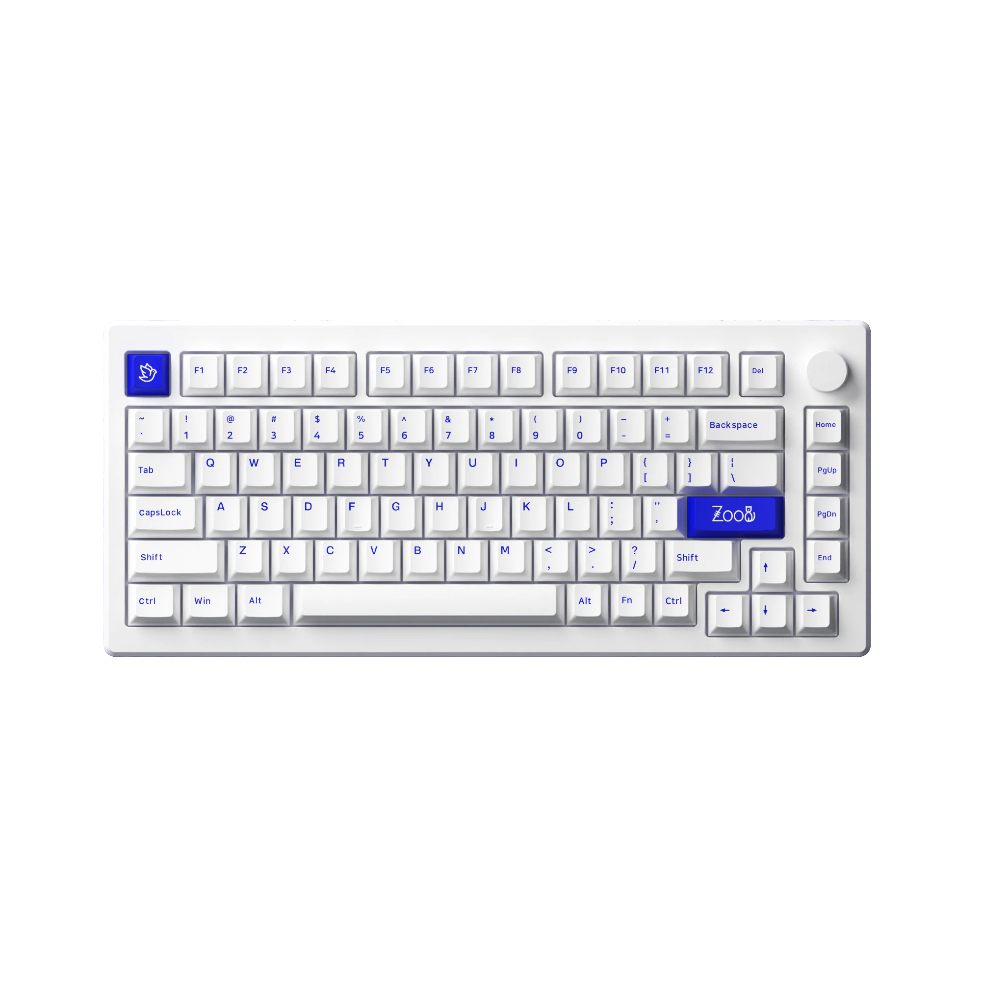 MOD 007B PC Blue on White - Image 3
