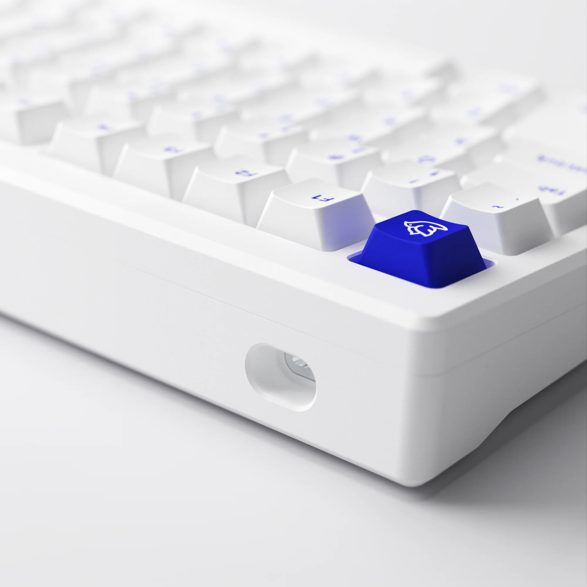 MOD 007B PC Blue on White - Image 6