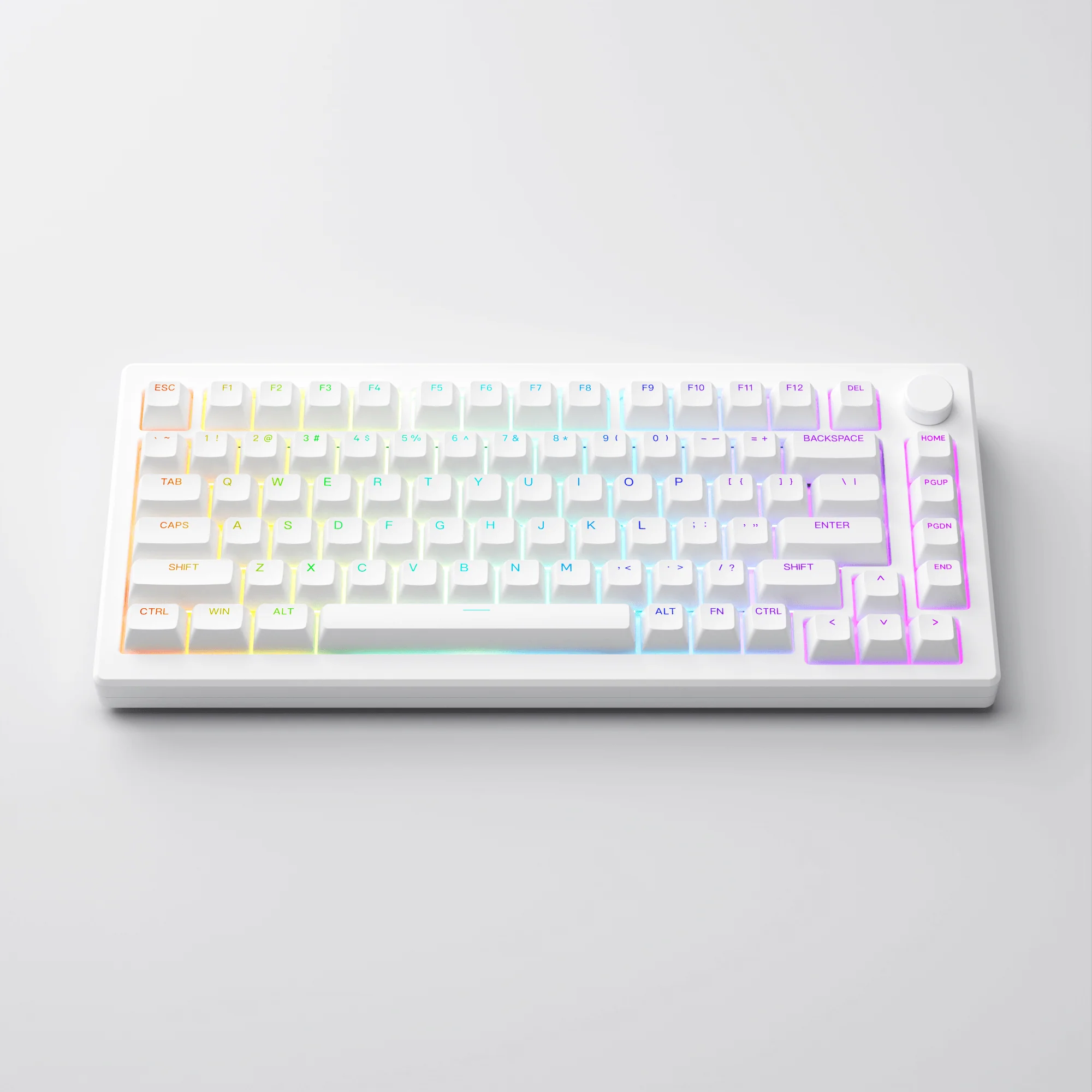 MOD 007B PC Shine-Through - Image 2
