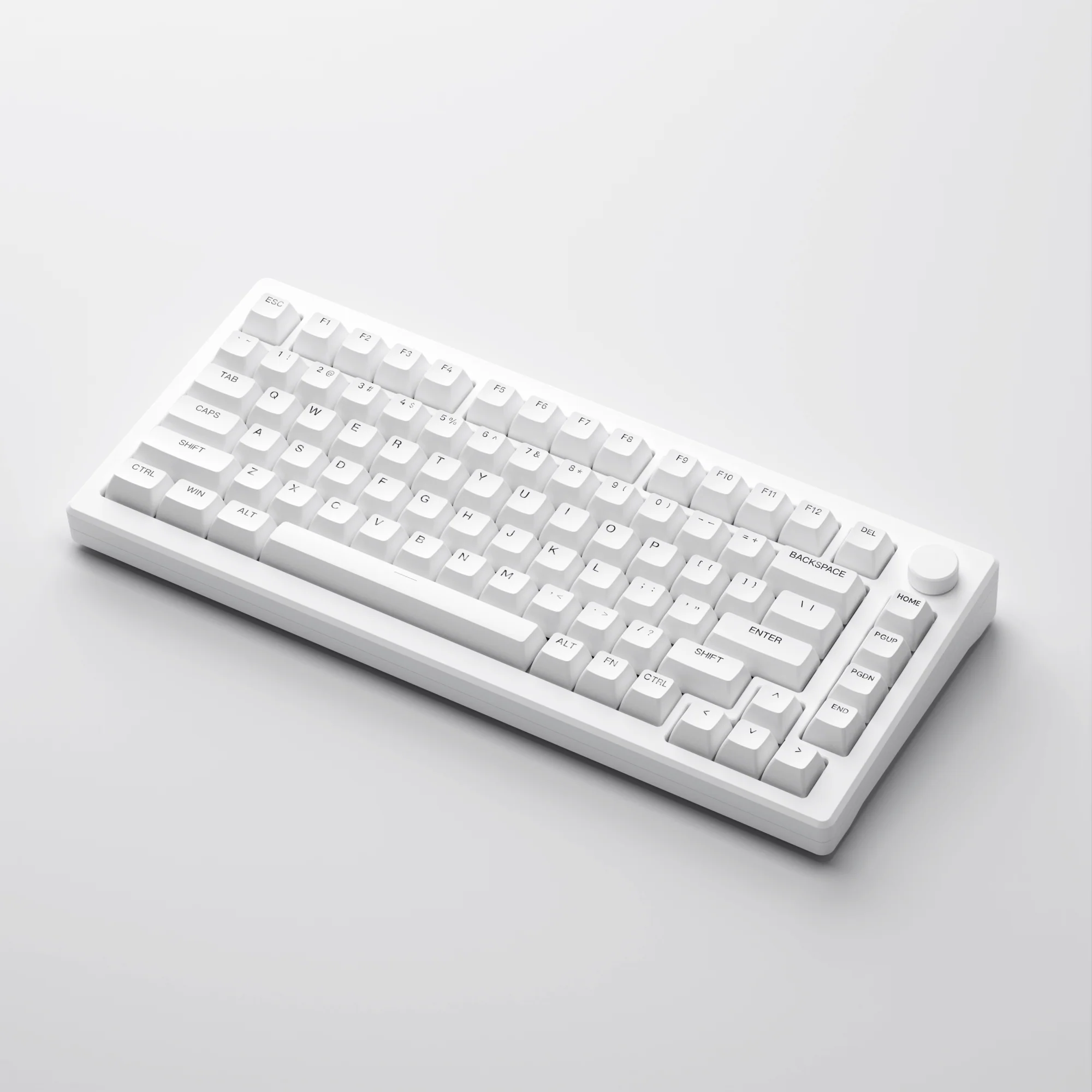 MOD 007B PC Shine-Through - Image 3