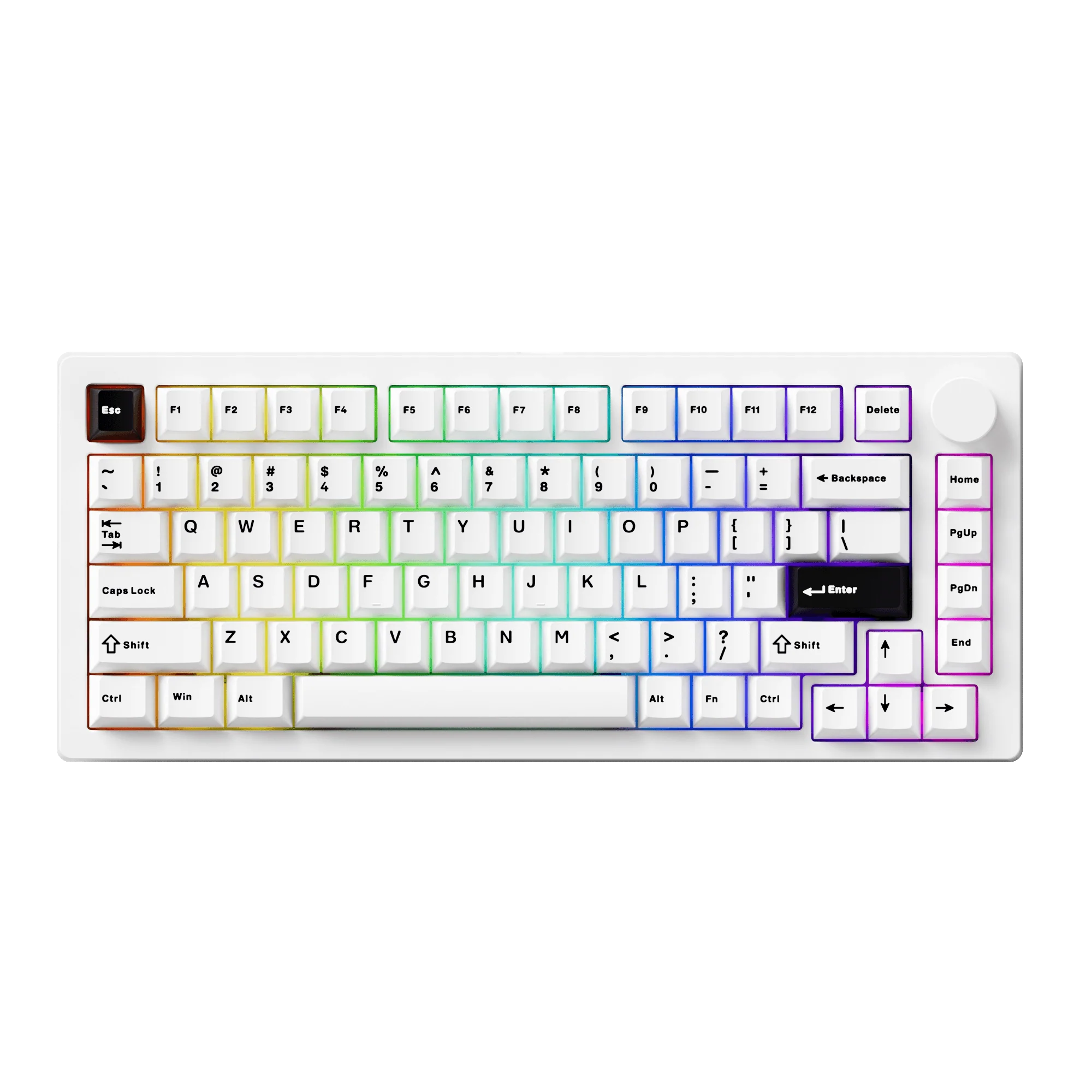 MonsGeek M1 V5- Black on White- Black & Silver