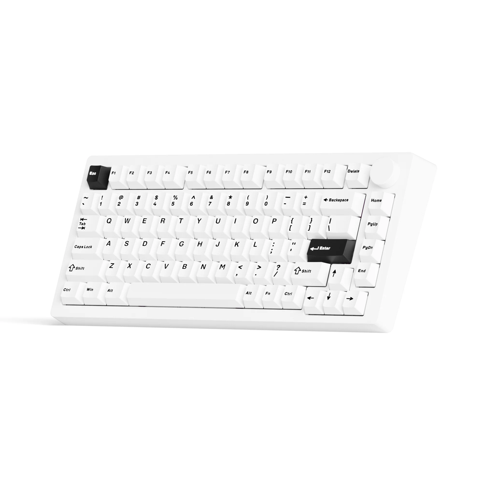 MonsGeek M1 V5- Black on White- Black & Silver - Image 24