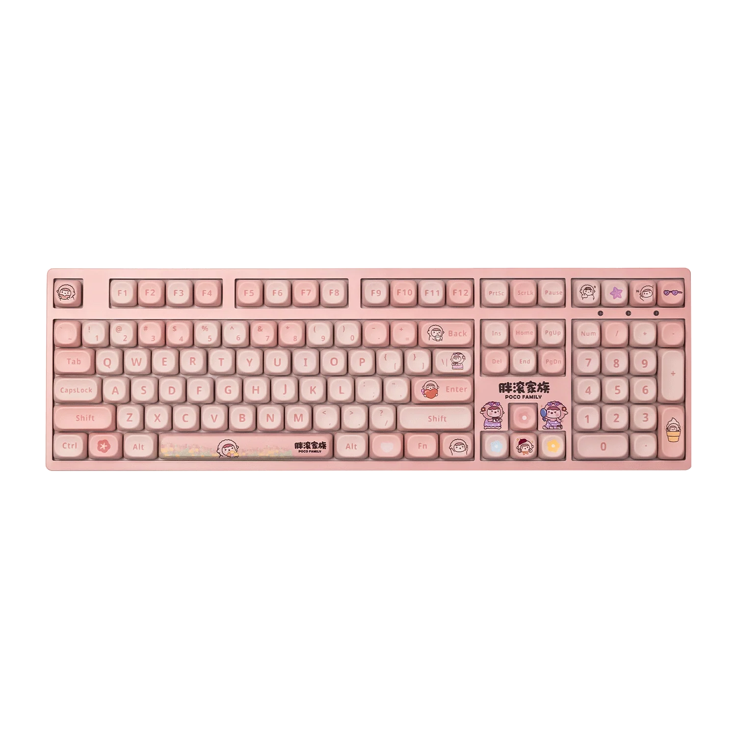 POCO Lamb 3108v3